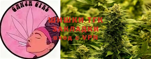 ешки Верея
