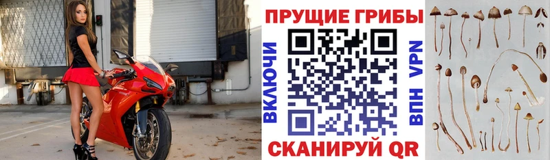 Псилоцибиновые грибы MAGIC MUSHROOMS  Заволжск 